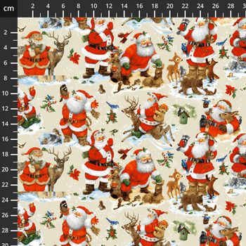 Hovedbilde Santas Friends