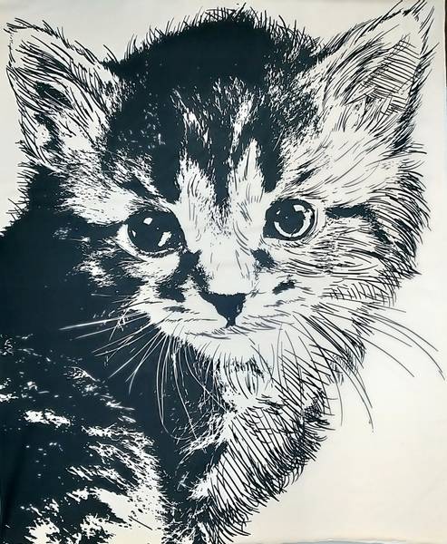 Bilde av Bomullsjersey - panel - 2 st. katt