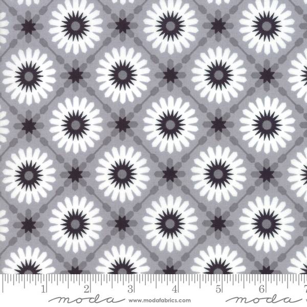 Bilde av Midnight Magic - 3,5 cm sort-hvite blomster på grå