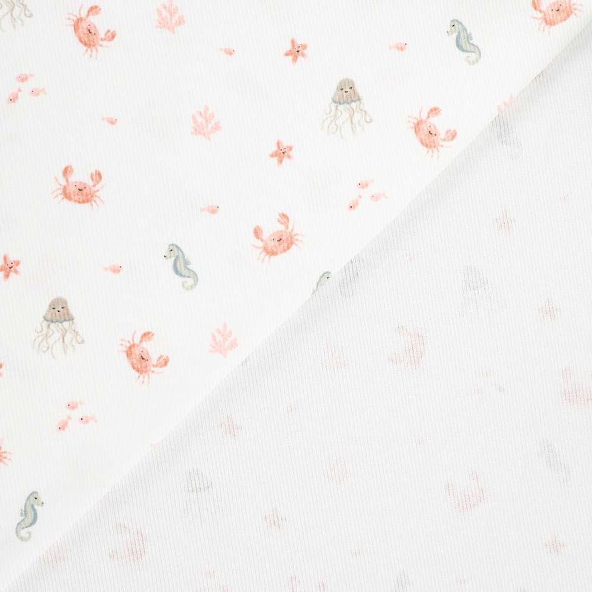 Ribbjersey – sjødyr på hvit