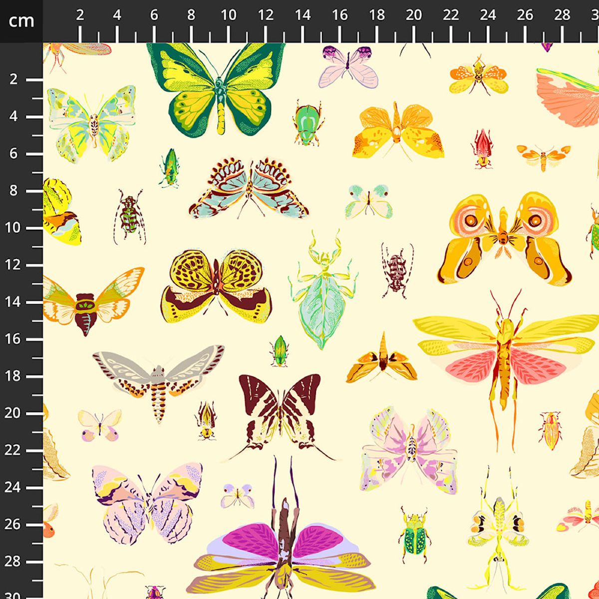 Insectarium - sommerfugl & biller