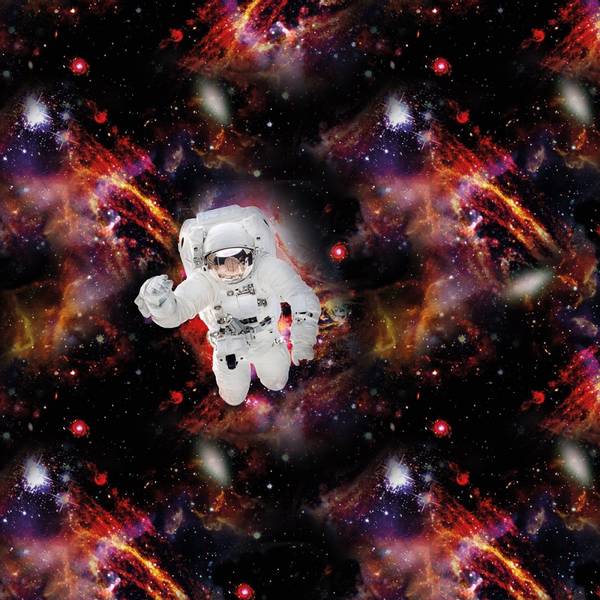 Bilde av Bomullsjersey panel - Astronaut, 80x145 cm