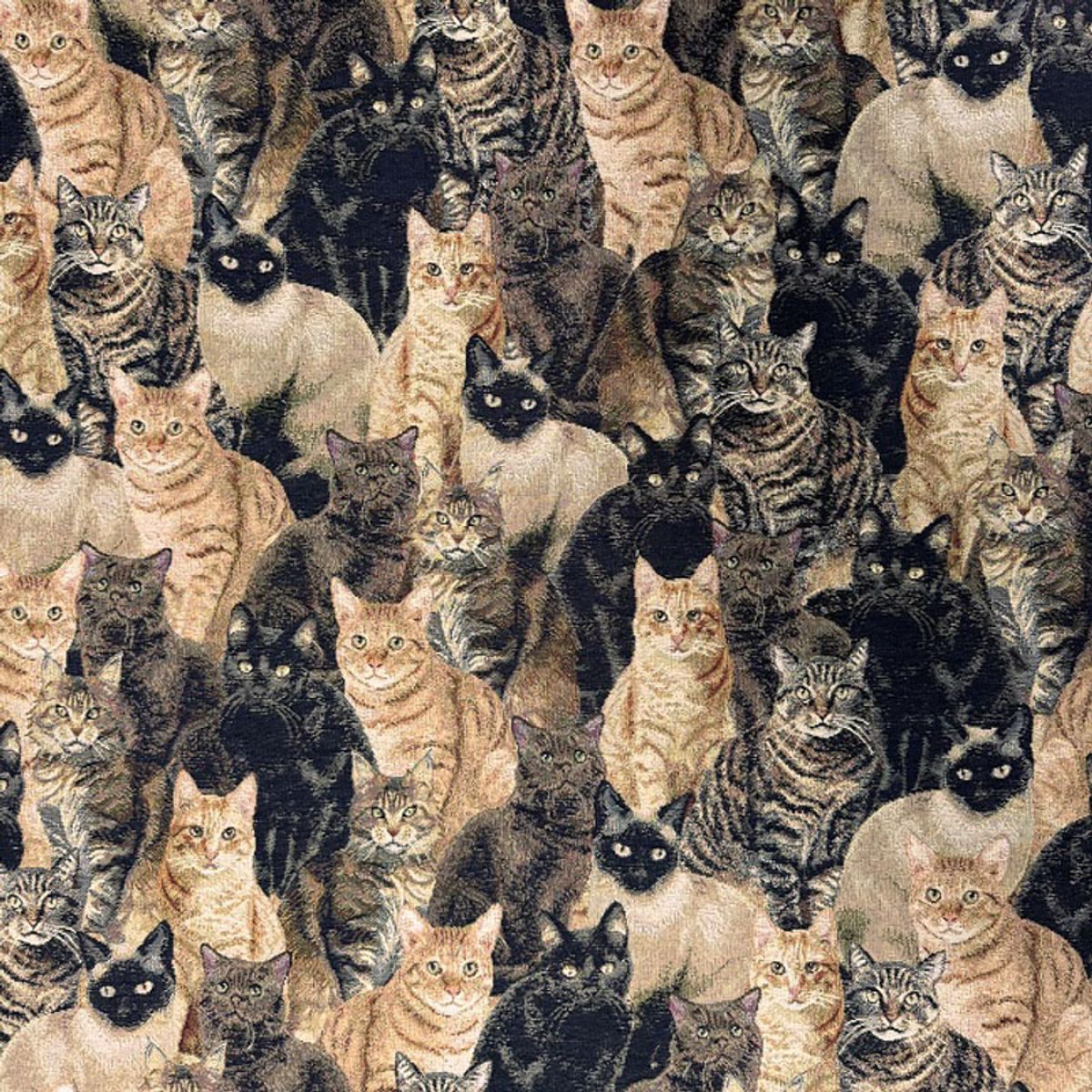 Gobelin - katter